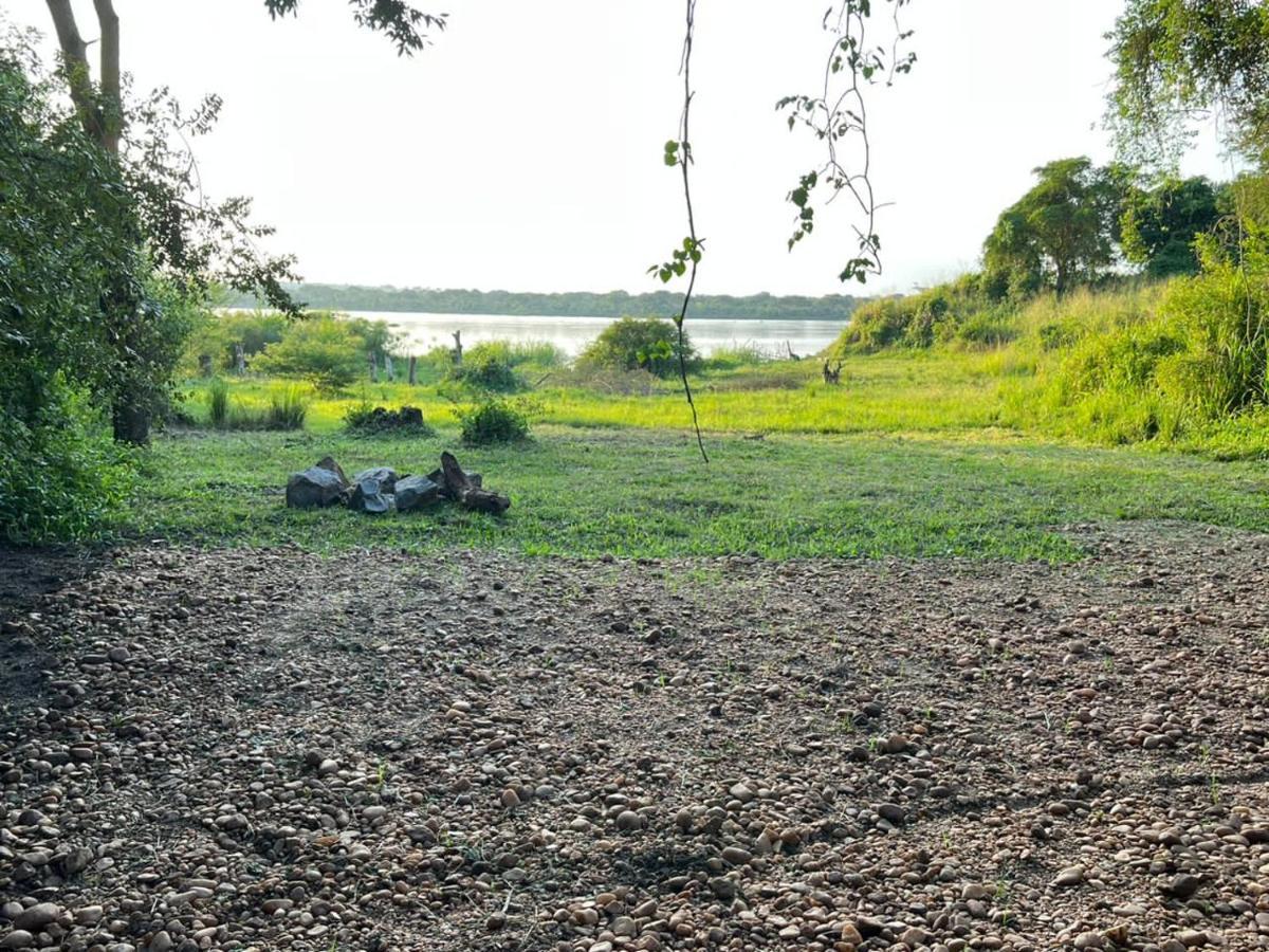 Murchison Giraffe Camp Hotell Paraa Eksteriør bilde