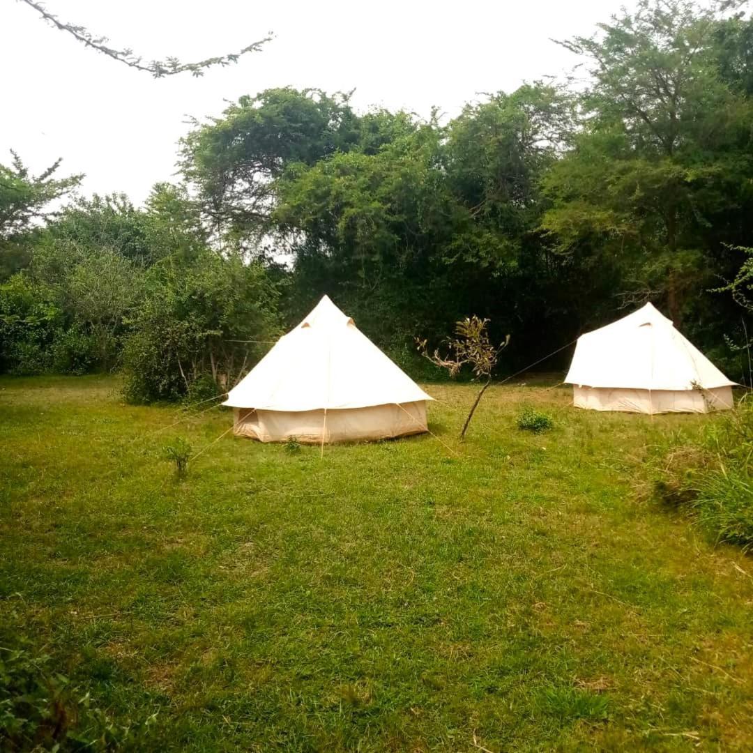 Murchison Giraffe Camp Paraa Eksteriør bilde